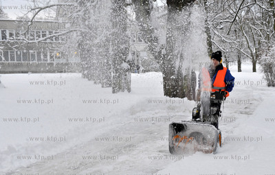 Zima w Parku Akademickim na al. Zwyciestwa w Gdansku-Wrzeszczu....