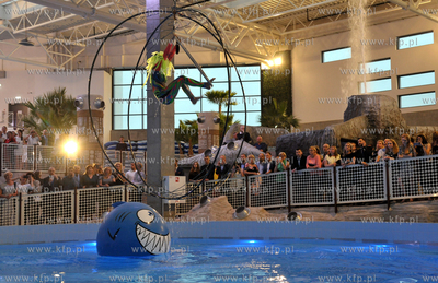 Otwarcie Aquaparku Reda w Redzie. Atrakcją jest akwarium,...