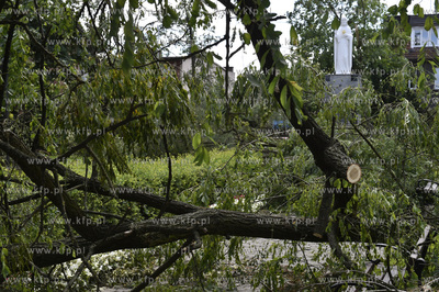 Skutki wichury na Pomorzu. Zniszczony park w miejscowości...