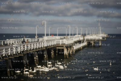 Sopot. Molo.
03.03.2010
fot. Krzysztof Mystkowski...