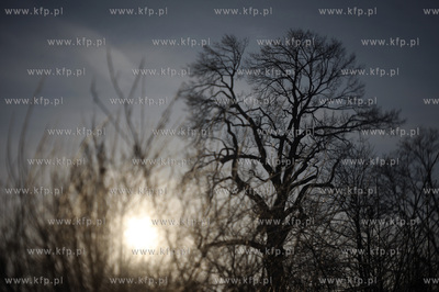 Sopot. Zima.
28.12.2010
fot.Krzysztof Mystkowski...