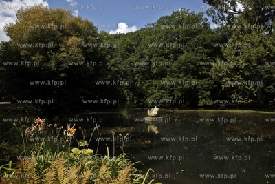Park Oliwski. 29.08.2013 fot. Krzysztof Mystkowski...