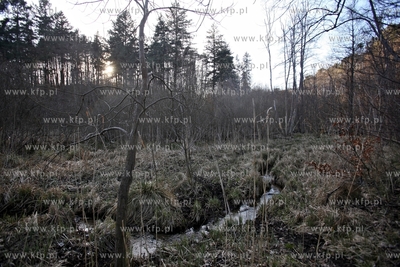 Prywatna działka na terenie Trójmiejskiego Parku...