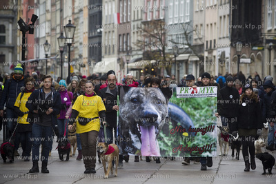Spacer podopiecznych gdańskiego schroniska Promyk...