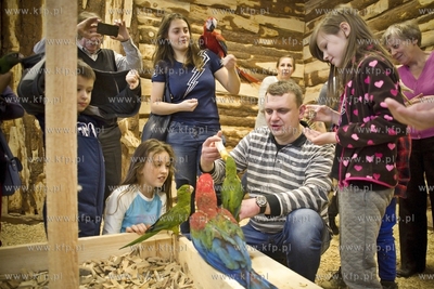 Nowa Papugarnia w Gdańsku Suchaninie.
29.12.2016
fot....