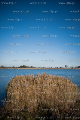 Trzcinsko, przy brzegu Martwej Wisly. Prezentacja testowej...