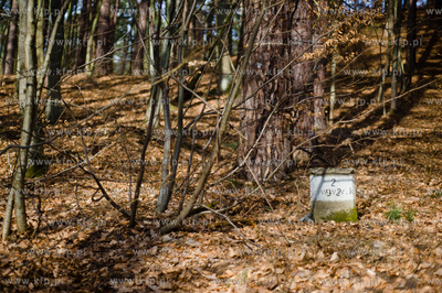 Gdansk. Oliwa, Trojmiejski Park Krajobrazowy. Sciezka...