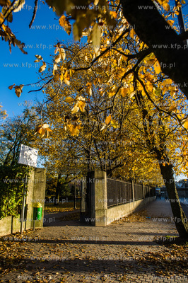 Gdańsk. Wrzeszcz. Jesien w Parku Kuźniczki.
29.10.2016
fot....