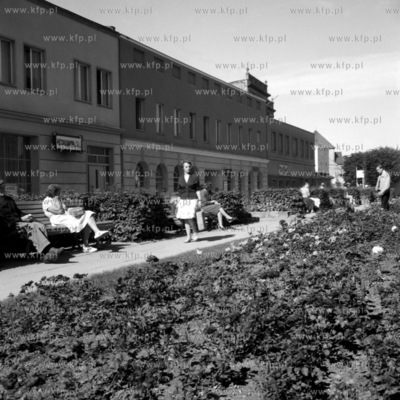 Aleja Grunwaldzka w Gdańsku Wrzeszczu. 
1960
0003235z
Fot....
