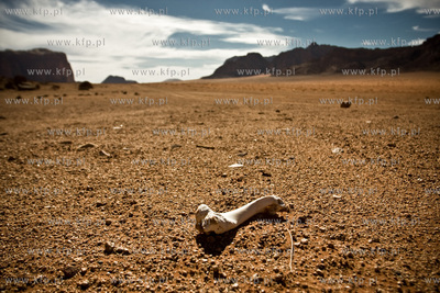 Wadi Rum Jordania NZ Pustynia Wadi Rum 04.11.2009 ...