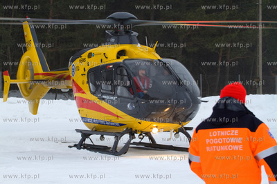 Gdansk, Rebiechowo. W dniu dzisiejszym przylecial nowy...