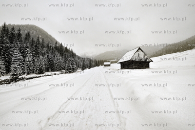 Tatry. NZ. Dolina Chocholowska przykryta sniegiem 
21.01.2011
Fot.Jan...