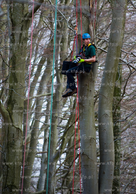 Mistrzostwa Polski we Wspinaczce Drzewnej w Dolinie...