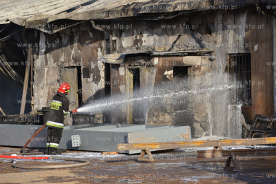 Pozar malarni firmy Indusco przy ul. Hutniczej w Gdyni,...