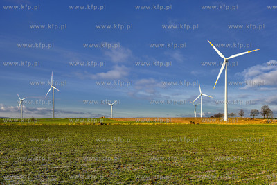 Elektrownia wiatrowa w okolicy Wladyslawowa. 06.01.2015...