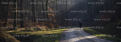 Spacer po Trójmiejskim Parku Krajobrazowym. 30.12.2017...