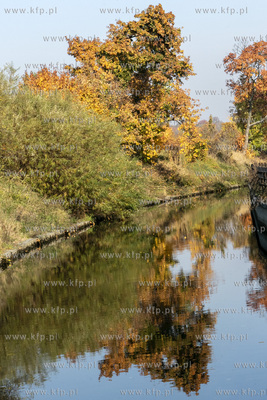 Kanał Raduni w Pruszczu Gdańskim. 18.10.2018 Fot....