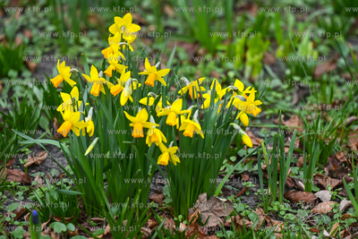 Sopot. Niedziela Wielkanocna w Sopocie. 05.04.2026...