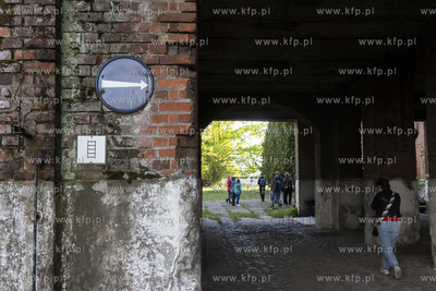 Botaniczny Pruszcz. Spacer badawczy śladem roślin...