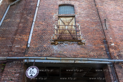 Botaniczny Pruszcz. Spacer badawczy śladem roślin...