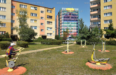 Na bocznej fasadzie bloku na ulicy Skarzynskiego 10a...