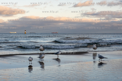 Sopot. Plaża w Sopocie. 01.02.2025 / fot. Anna Rezulak...