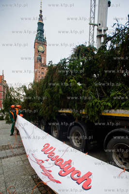 Gdansk. Dlugi Targ. Operacja stawiania swiontecznej...