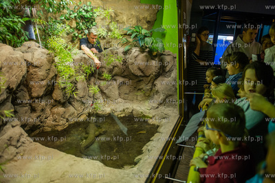 Akwarium Gdynskie. Tydzien Rekina oraz Dni Otwarte...