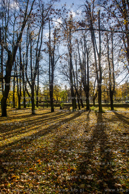 Gdańsk. Jesien w Parku Steffensa.
30.10.2016
fot....