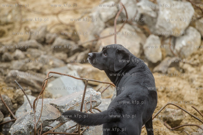 Gdańsk. Oddanie do użytku Strażnicy Jednostki Ratowniczo...