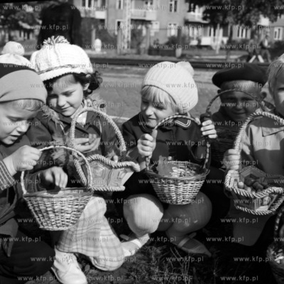 Przedszkolaki zbieraja do koszyka zoledzie.10.19700002645z_pazdziernik1970Fot....