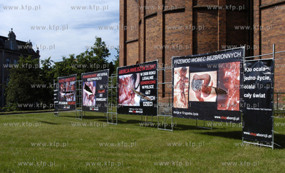 Slupsk. Nieznani sprawcy uszkodzili plakaty szokujacej...