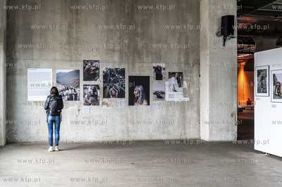 Gdańsk Stocznia. Plenum. Wystawy 4 autorów: Damian...
