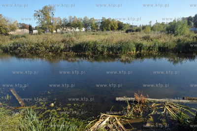 Porosniete sitowiem zbiorniki wodne, brzegi z niedostepnymi...