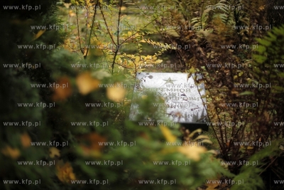 Sopot. Cmentarz Zolnierzy Radzieckich.
24.10.2012
fot....