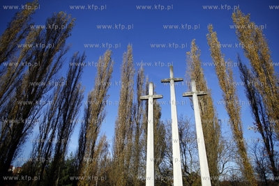 Wojskowy cmentarz francuski w Gdansku.
31.10.2013
fot....