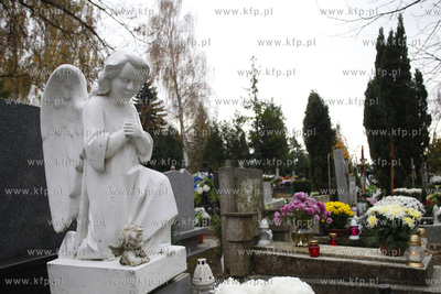 Cmentarz komunalny przy ul. Spokojnej w Pruszczu Gdanskim.
01.11.2013
fot....