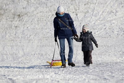 Sanki w parku Reagana w Gdansku. 01.02.2015 fot. Krzysztof...