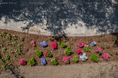 Sopot. Budowa woonerfu w ciągu ul Kolejowej i Marynarzy...