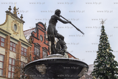 Gdańsk. Montaż choink na Długim Targu. 30.11.2023...