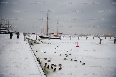 Gdynia. Zima w porcie jachtowym. Niskie temperatury...