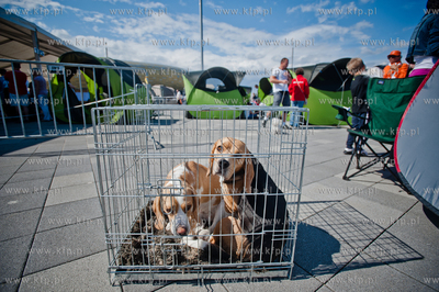 Gdansk. Teren przed stadionem PGE Arena. Miedzynarodowa...