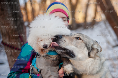 Gdynia. Polanka Redlowska. Pomorski Puchar Dogtrekkingu.
08.02.2014
fot....