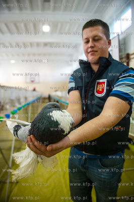 Zespol Szkol Rolniczych w Rusocinie. Wystawa Golebi...