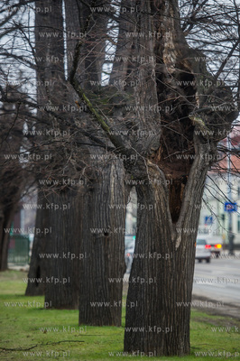 Gdańsk. Znajdująca się w ciągu Alei Zwyciestwa,...