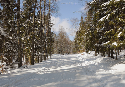 Szymbark /Kartuz. Zima na Kaszubach.
26.03.2009
Fot....
