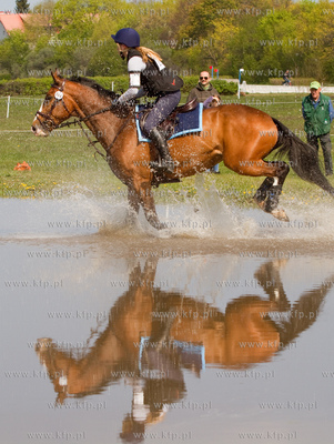 Drugi dzien Wszechstronnego Konkursu Konia Wierzchowego...