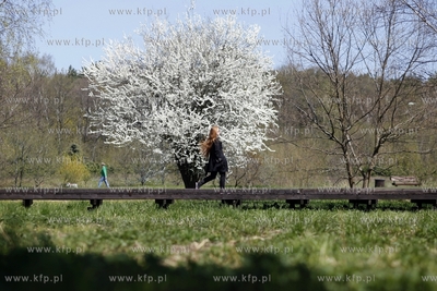 Gdansk. Park Reagana. 06.05.2013 fot. Krzysztof Mystkowski...