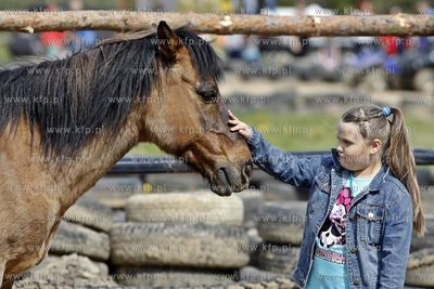 Gdynia Kolibki. Adventure Park. Majowka Pracodawcow...
