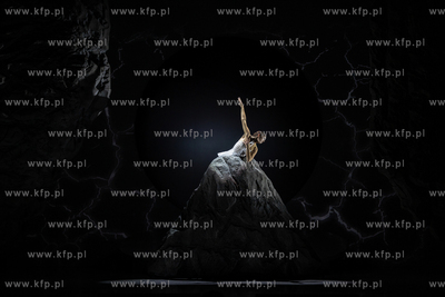 Opera Bałtycka.Balet Karnawał Zwierząt w choreografii...